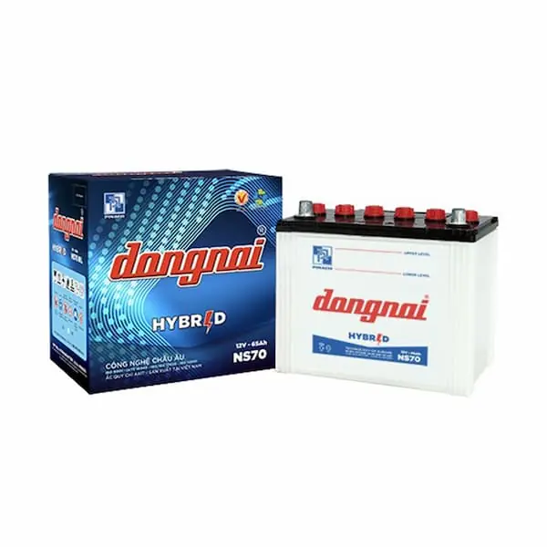Ắc quy Đồng Nai 12V 65AH NS70